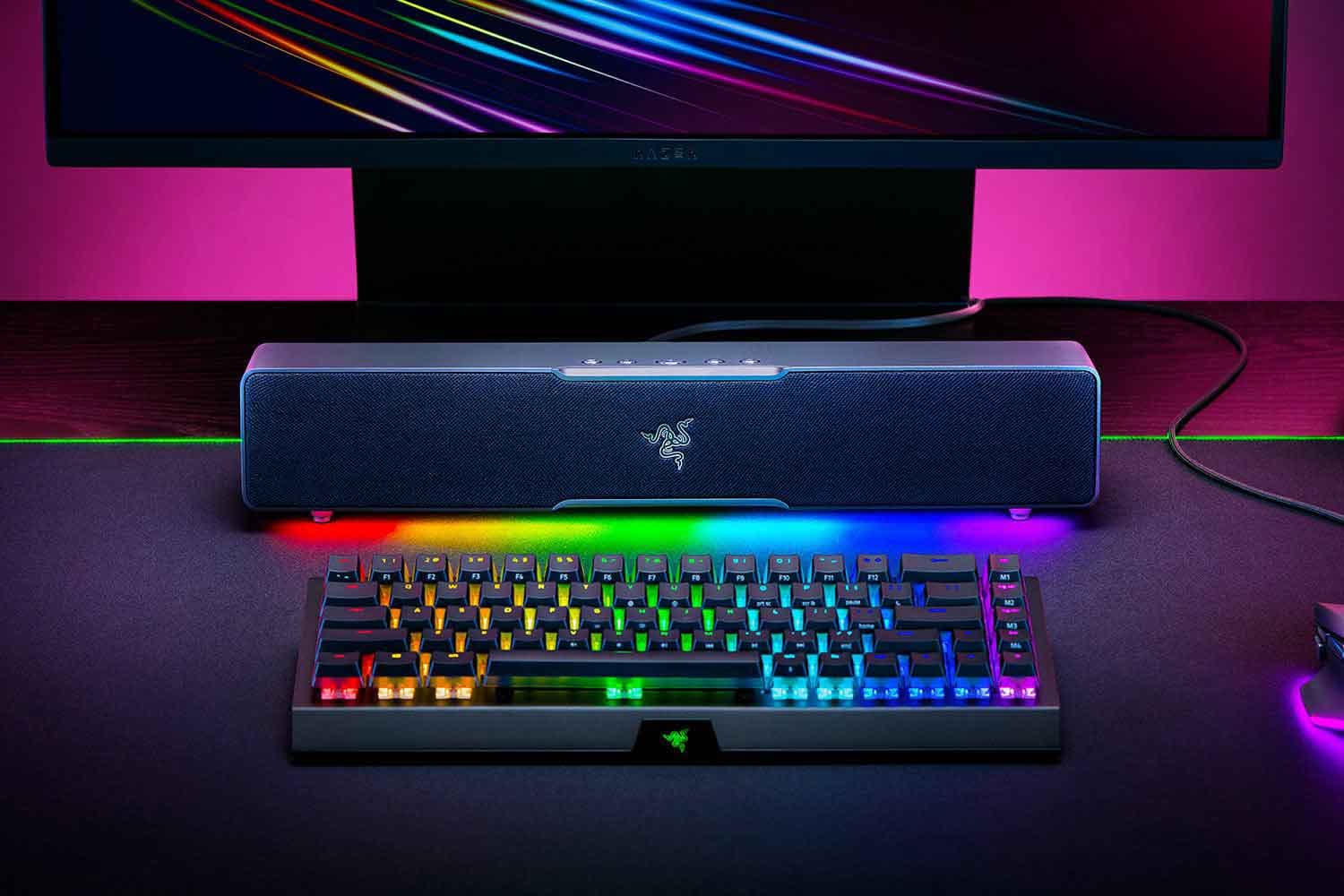 RAZER Leviathan V2 X Bluetooth Speaker