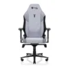 secretlab-titan-evo-regular-size-gaming-chair-cookies-cream